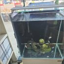 삼화타이어 이미지