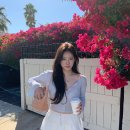 더리즈 이미지