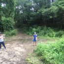 법흥2리 이미지