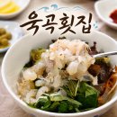 구산면횟집 | [마산구산면맛집] '욱곡횟집' 회덮밥 맛집 추천