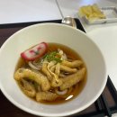 동경 | 합정역 점심 맛집 <동경규동> 내돈내산 후기