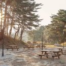 양양스테이 이미지