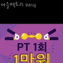 머슬팩토리easy