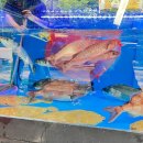 한울마을 1단지 1번  GATE앞(102동 앞) | 운정 물회 베스트 10 순위 추천