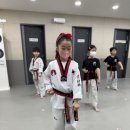 푸르지오태권도장