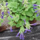 아름다운농장비밀의화원 이미지