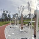용전 | 대전 송촌동 갈만한 곳 : 대전 용전근린공원 산책 후기 / 10월 핑크뮬리 스팟