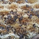 종일농원 이미지