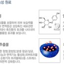 오오오프로젝트 이미지