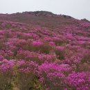 청도자연휴양림 이미지