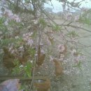 오월농장 이미지