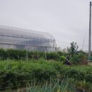 희숙농장 이미지