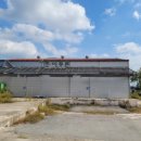 황무로 3 이미지