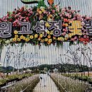 11월 1~2일 백아도 섬여행 취소 대신 가을여행 이미지