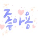 그루밍애견미용 이미지
