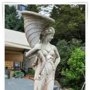 강원도립화목원 이미지