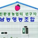 남농영농조합법인
