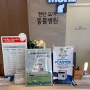 모아 동물병원 이미지