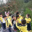 무창 농촌체험 휴양마을 이미지