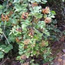 동녘농장 이미지