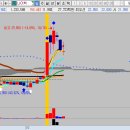 우진트레이딩 이미지