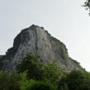 금태농장 이미지