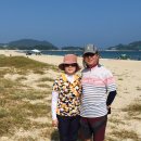 금일읍 월송리 | ※금일도 명사십리 해수욕장 여행정보 후기