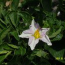 재구농장 이미지