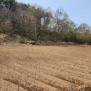 송암리 농장 이미지