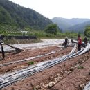 일월면사무소 이미지