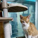 닥터표동물병원 이미지