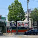 금천칼국수 이미지