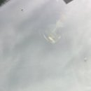 카티스트 이미지