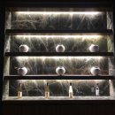 일일시호주 이미지