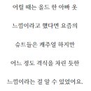비지오네 네이버블로그