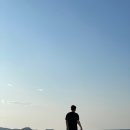 까사콩새 이미지