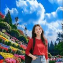 G. 로시니_ 오페라 「세비야의 이발사」 中 Una voce poco fa(방금 들린 그 목소리) 이미지