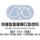 어울림동물메디컬센터 네이버블로그