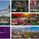 [싱가포르] 가든스 바이 더 베이 후기 – Floral Fantasy , Flower Dome, Cloud Forest, 쥬라기월드