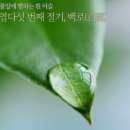 "백로(白露)":흰 이슬~고마운 절기. 이미지