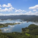 대전 스카이로드 | 대전 스카이로드 &amp; 한밭수목원 가을 감성 여행