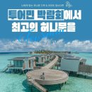 민투어 이미지