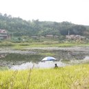 성덕축산 이미지