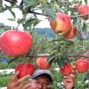 박종호 농장 이미지