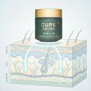 큐어짐 | 김정문 알로에 큐어크림 내돈내산 후기 – 민감성 피부 재생 효과