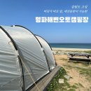 [강원도 고성] 오션뷰가 멋진 ❝명파해변오토캠핑장❞ 솔직 후기(애견동반)