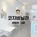 코지카페 | 부천 카페 | 부천대 디저트 카페 추천 코지바닐라 내돈내산 후기