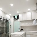 정든동물병원 이미지