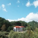 숲사이길펜션 이미지