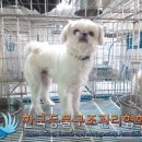 중곡동물병원 이미지